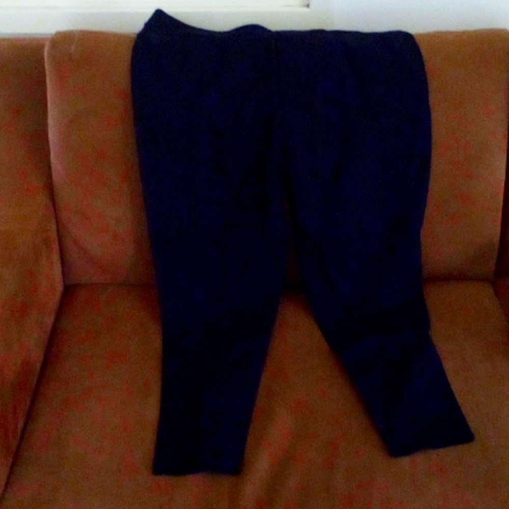 Allegrace slacks size 20 or 24 (tags say both for some reason)